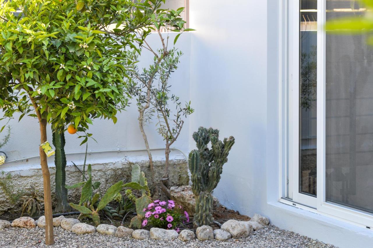 Garden Cellar - Mediterranean